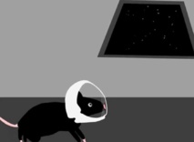 Fuente: UCI. Fuente: UCI.