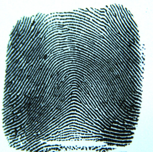 Imagen: Kevin Chesson. Fuente: PhotoXpress. Imagen: Kevin Chesson. Fuente: PhotoXpress.