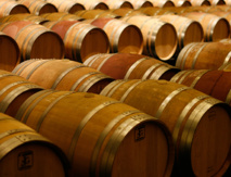 Fuente: CSIC. Fuente: CSIC.