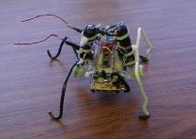 Robot biomórfico. Fuente: The Higgins Lab. Robot biomórfico. Fuente: The Higgins Lab.