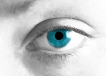 Imagen: Predrag Mladenovic. Fuente: PhotoXpress. Imagen: Predrag Mladenovic. Fuente: PhotoXpress.