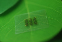 Un chip de nanofibras de celulosa sobre una hoja. Imagen: Yei Hwan Jung. Fuente: Laboratorio de Nanoingeniería de la Universidad de Wisconsin