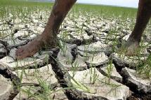 El cambio climático en Brasil. El cambio climático en Brasil.