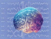 Los científicos de la Universidad de Cardiff han identificado las mutaciones genéticas que perturban la señalización cerebral inhibitoria y excitatoria, una perturbación que provoca la esquizofrenia. Fuente: Nature.