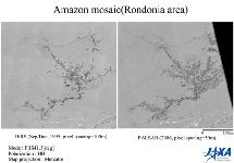 Mosaico de la deforestación en la zona de Rondonia: Foto: JAXA Mosaico de la deforestación en la zona de Rondonia: Foto: JAXA