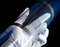 Las células creadas son transparentes. Fuente: AlphaGalileo. Las células creadas son transparentes. Fuente: AlphaGalileo.