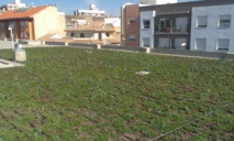 Cubierta vegetada de Benaguasil. Fuente: AlphaGalileo. Cubierta vegetada de Benaguasil. Fuente: AlphaGalileo.