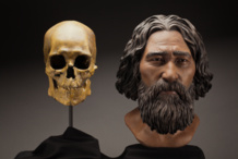 El cráneo del Hombre de Kennewick y una reconstrucción de su rostro. Imagen: Brittney Tatchell. Fuente: Smithsonian Institution. El cráneo del Hombre de Kennewick y una reconstrucción de su rostro. Imagen: Brittney Tatchell. Fuente: Smithsonian Institution.