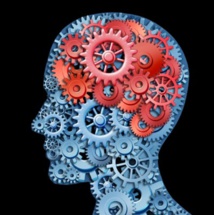 Fuente: Universidad de Monash. Fuente: Universidad de Monash.