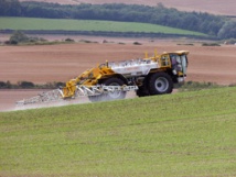 Fuente: Wikimedia Commons. Fuente: Wikimedia Commons.