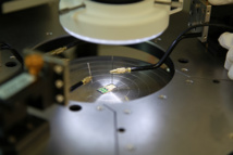 Fuente: Universidad de Exeter