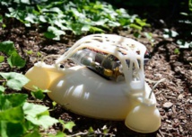 El robot. Fuente: Universidad de Harvard. El robot. Fuente: Universidad de Harvard.