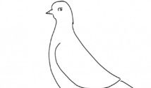 El programa distinguió variantes de ave como una gaviota y una paloma. Fuente: QMUL