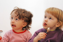 El estudio de la LSE fue realizado con parejas de gemelos no idénticos o mellizos. Imagen: DXfoto.com. Fuente: PhotoXpress.