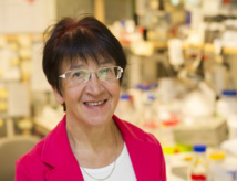 Outi Hovatta. Imagen: Ulf Sirborn. Fuente: Instituto Karolinska. Outi Hovatta. Imagen: Ulf Sirborn. Fuente: Instituto Karolinska.