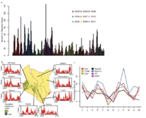Patrones de rubeola en Kenia. Abajo a la derecha, picos de contagio (septiembre, diciembre-marzo y mayo. Imagen: Wesolowski/Metcalf. Fuente: Princeton.