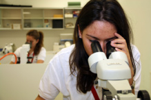 Una investigadora, en el laboratorio. Fuente: DICyT. Una investigadora, en el laboratorio. Fuente: DICyT.