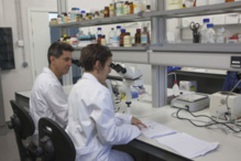 Los investigadores de la UJI. Fuente: UJI. Los investigadores de la UJI. Fuente: UJI.