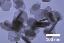 Imagen de microscopio electrónico de los copos de disulfuro. Fuente: RMIT.