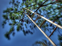 Imagen: ‘Vertigo 08018’, de Nevit Dilmen-Own Photograph. Fuente: Disponible bajo la licencia CC BY-SA 3.0 vía Wikimedia Commons.