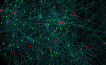 Red de interacciones humanas anónimas dibujada con Nervousnet. Fuente: Nervousnet.info. Red de interacciones humanas anónimas dibujada con Nervousnet. Fuente: Nervousnet.info.