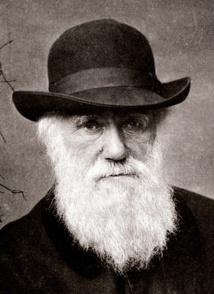 Charles Darwin en 1880, de Elliott & Fry. Imagen: Flickr (de segunda versión). Fuente: Disponible bajo la licencia Dominio público vía Wikimedia Commons. Charles Darwin en 1880, de Elliott & Fry. Imagen: Flickr (de segunda versión). Fuente: Disponible bajo la licencia Dominio público vía Wikimedia Commons.