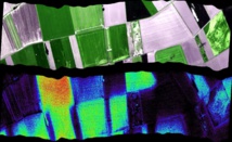 Fluorescencia producida por la vegetación, vista desde el aire. Imagen: U. Rascher. Fuente: Centro de Investigación Jülich (Alemania).
