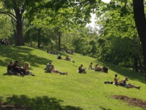 Imagen: Benjamin Wahiche. Fuente: PhotoXpress. Imagen: Benjamin Wahiche. Fuente: PhotoXpress.