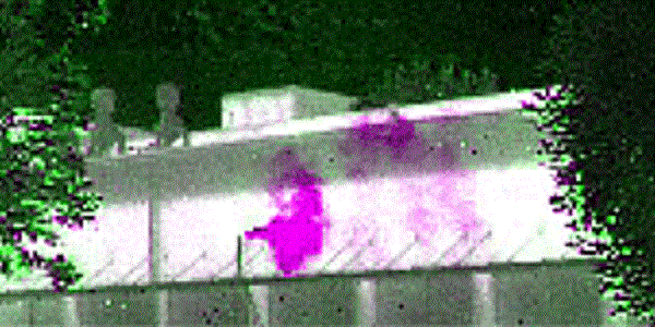 Imagen de la cámara, visualizada con el color púrpura. Fuente: Universidad de Linköping.