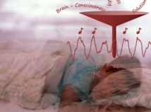 Fuente: Ngo et al. Fuente: Ngo et al.