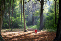 Fuente: Stock.xchng. Fuente: Stock.xchng.