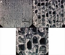 Muestra de carburo de silicio (SiC). Fuente: Universidad de Chile. Muestra de carburo de silicio (SiC). Fuente: Universidad de Chile.