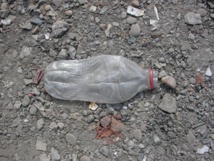 Un fósil del futuro. Fuente: Universidad de Leicester/AlphaGalileo. Un fósil del futuro. Fuente: Universidad de Leicester/AlphaGalileo.