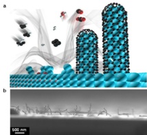 Recubrimiento de los nanocables. Fuente: Unist. Recubrimiento de los nanocables. Fuente: Unist.