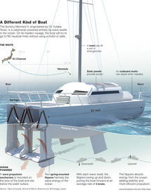 Fuente: Universidad de Tokai. Fuente: Universidad de Tokai.