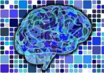 Imagen: geralt. Fuente: Pixabay. Imagen: geralt. Fuente: Pixabay.