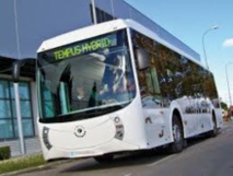 Si el autobús le da urticaria, la culpa podría ser del gen ADGRE2. Fuente: IBV. Si el autobús le da urticaria, la culpa podría ser del gen ADGRE2. Fuente: IBV.