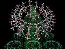 Estructura del funcionamiento en paralelo del ordenador molecular. (MSBN) Estructura del funcionamiento en paralelo del ordenador molecular. (MSBN)