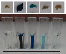 Rhodotorula mucilaginosa. Fuente: Alpha Galileo. Rhodotorula mucilaginosa. Fuente: Alpha Galileo.