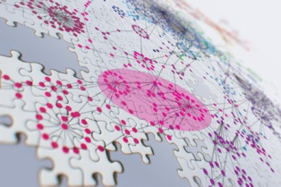 El mapa de las redes génicas. Imagen: Valdo Peixoto/Daniel Marbach. Fuente: SIB. El mapa de las redes génicas. Imagen: Valdo Peixoto/Daniel Marbach. Fuente: SIB.