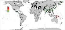 Proporción de genoma denisovano en no-africanos. Imagen: Sankaraman et al. Fuente: Current Biology. Proporción de genoma denisovano en no-africanos. Imagen: Sankaraman et al. Fuente: Current Biology.