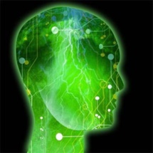 Imagen: Argus. Imagen: Argus.