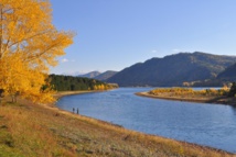 Imagen: Larisa-K. Fuente: Pixabay. Imagen: Larisa-K. Fuente: Pixabay.