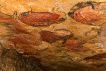 Vista general del techo de polícromos de las Cuevas de Altamira. Fuente: Museo de Altamira y D. Rodríguez, CC BY-SA 3.0.