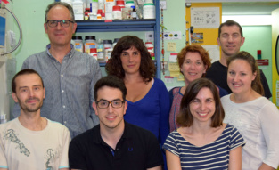 Roberto Solano (arriba a la izquierda) y su equipo. Fuente: CNB-CSIC. Roberto Solano (arriba a la izquierda) y su equipo. Fuente: CNB-CSIC.