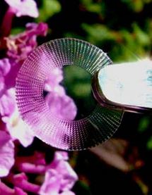 Imagen de la córnea desarrollada por Stanford. David Myung, TR. Imagen de la córnea desarrollada por Stanford. David Myung, TR.