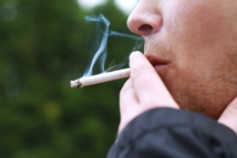 Imagen: Kruscha. Fuente: Pixabay. Imagen: Kruscha. Fuente: Pixabay.