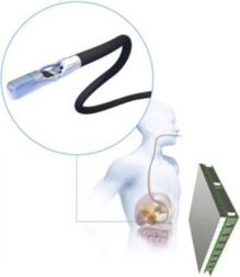 Representación del escáner EndoTofpet-US con los dos tipos de detectores usados: endoscópico y abdominal. Fuente: DESY/Stuhrmann. Representación del escáner EndoTofpet-US con los dos tipos de detectores usados: endoscópico y abdominal. Fuente: DESY/Stuhrmann.