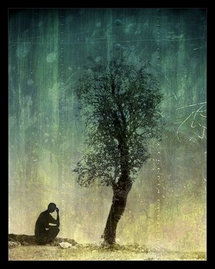 El alma es algo más que el fruto de la actividad neuronal El alma es algo más que el fruto de la actividad neuronal