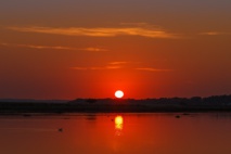 Imagen: detapo. Fuente: Pixabay. Imagen: detapo. Fuente: Pixabay.